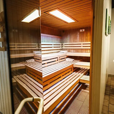 Neu 249, Im Oberharz Mit Sauna Und Schwimmbad, Zum Enspannen *