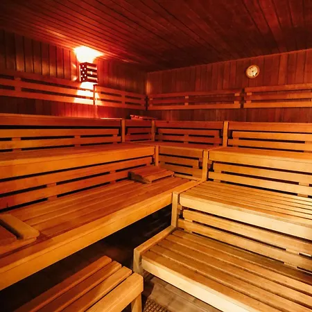 Neu 249, Im Oberharz Mit Sauna Und Schwimmbad, Zum Enspannen